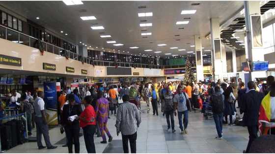 Japa: "There are beggars in U.K. U.S., Canada", NIS sends strong warning to Nigerians fleeing abroad