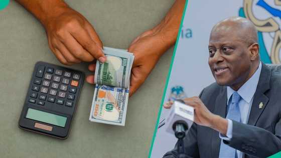 Naira Falls: US dollar exchange rate kicks off December strong