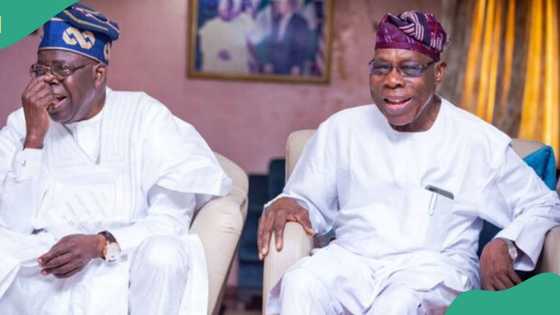 Not Peter Obi: Yoruba group mentions presidential candidate Obasanjo is allegedly supporting for 2027 election