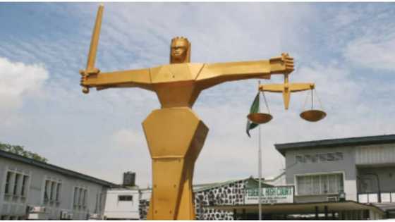 "I don't have transport fare": Drama in Kaduna court as Man fails to show up for divorce case