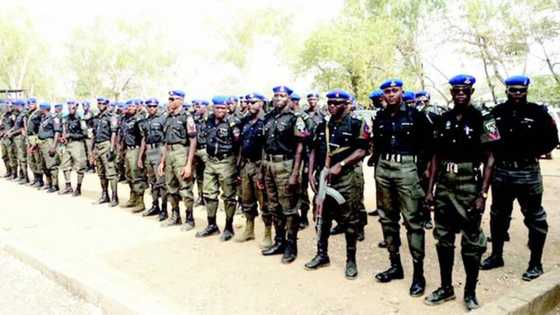 Bandits invade Zamfara again, kidnap 60 people in a community