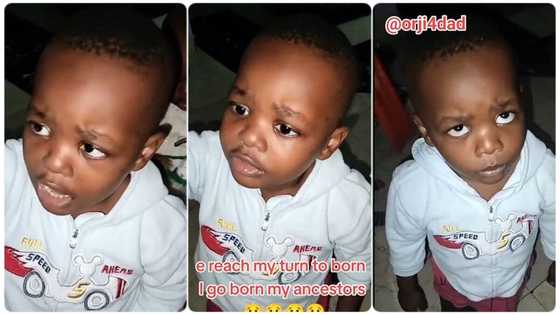 Funny little boy asks his father to leave his mother and play with him instead, he refuses in video