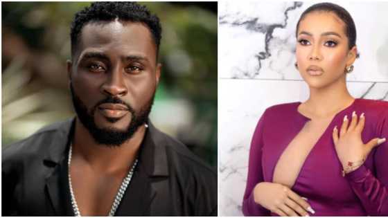 Pere will marry Maria: Fans gush as BBNaija star prays for colleague after she contracted COVID-19