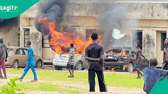 Breaking: Terrorists kill 5 forest guards, burn security vehicles in midnight Kwara attack