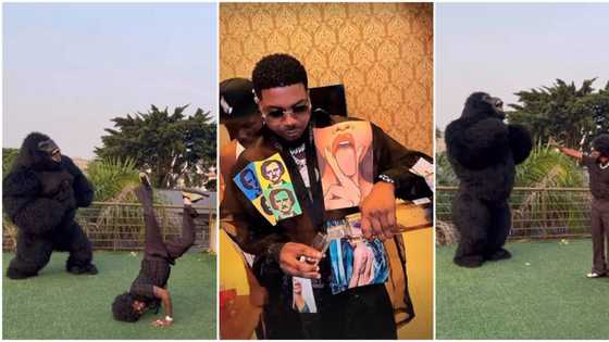 “No Be Burna Boy Be That”: Reactions Surface as Skiibii Takes on Gorilla in Dancing Competition, Video Trends