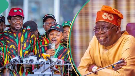 Kungiyar kwadago ta janye shiga zanga-zangar adawa da Tinubu? Gaskiya ta bayyana