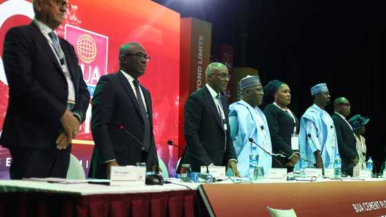 BUA Cement PLC records strong revenue growth of 90.5% to N867.5 billion, pays N2.05 dividend per share