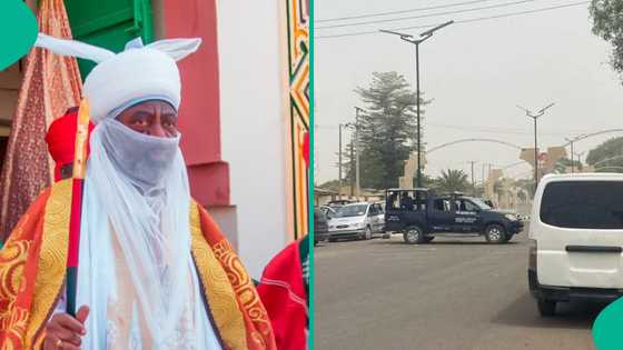 Jami'an tsaro sun toshe titunan zuwa fadar Aminu Ado Bayero a Kano, an gano dalili