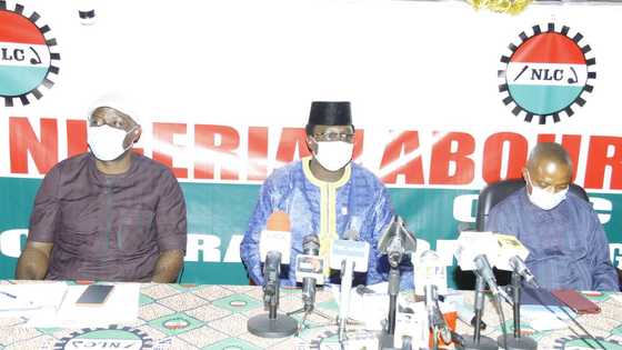 We would embark on another strike if you don’t reverse this decision - NLC warns FG