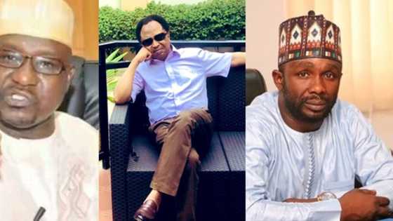 Ahmed Gulak: It's time to know these unknown gunmen - Shehu Sani speaks tough after GEJ's aide murder