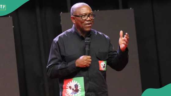 Peter Obi under fire as former aide says he bought over 400 SUVs for monarchs as Anambra governor