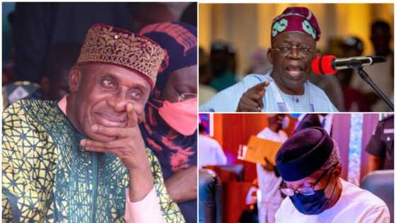 2023 presidency: Hard facts revealed as Amaechi speaks on Tinubu, Osinbajo's ambition