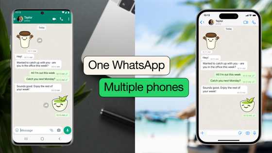 Companion mode and OTP: Steps to link your WhatsApp to 4 phones, iPhone to Android