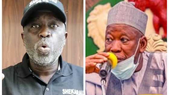 Caccakar Ganduje: 'Yan sandan Kano na neman Bashir Gentile ruwa a jallo kan sukar Ganduje