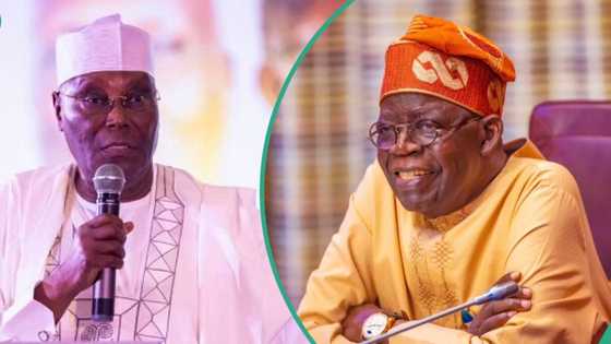 “He found a new hobby”: Presidency blasts Atiku over criticism of Tinubu's govt