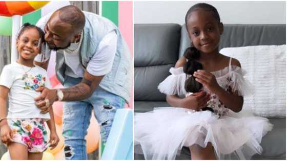 "Kizz what have you done?" Davido cheers Hailey on as she teaches abroad friends how to 'buga' during party