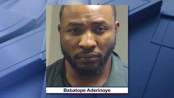 Nigerian living in US gets 34 years jail term for defrauding charities, old people