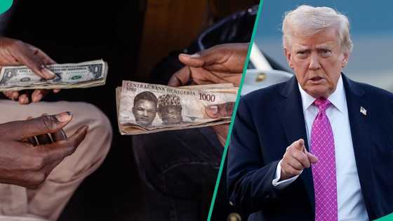 Naira reacts to Trump’s threats, crashes against US dollar