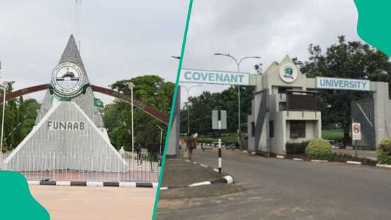 List of 10 states with highest number of universities in Nigeria as of 2026