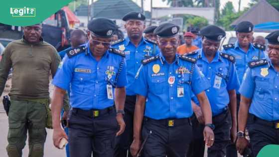 Niger: Police arrest notorious bandits' leader inside popular market, details emerge