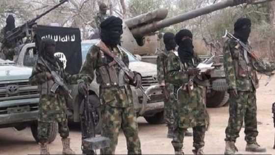 Da duminsa: Kungiyar Boko Haram (ISWAP) ta barke gida biyu