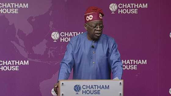 Expert breaks down why Chatham House advised FG against strengthening naira