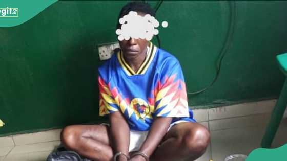 Police raid hotel, recover N2m, pistol and hard drugs from 23-year-old female suspect
