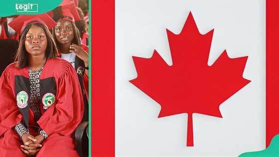 What is the real cost of converting a Nigerian degree into a licensed profession in Canada?