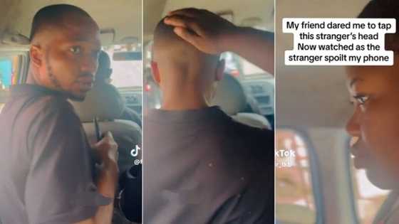"People go gather for us": Nigerian lady slaps man's head in public bus to see his reaction, video trends