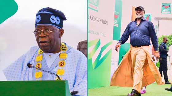Tinubu's top media aide drags Dino Melaye following unique outfit to ADC convention