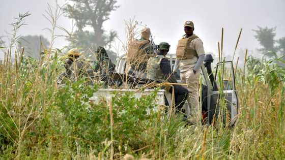 'We will have nothing': Niger kidnap victims fear border bandits