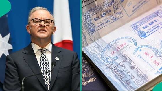Australia lists 4 benefits for eligible foreigners who apply for frequent traveller visitor visa