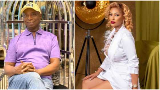 "He likes them fair": Video and photos of Ned Nwoko's gorgeous 4th wife stir huge reactions