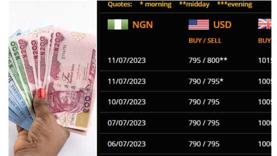 Emefiele’s suspension: Black market FX aggregator, Abokifx resumes operations, quotes N790 per dollar