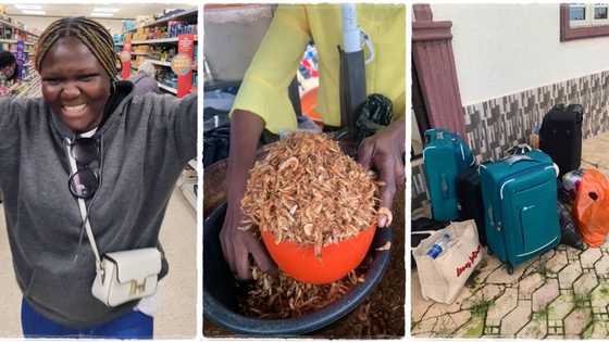 Lady gets travel visa after applying to embassy, packs plenty native foodstuff and relocates to UK