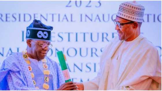 Tinubu Ba Zai Hakura Ba, Ya Fadi Abinda Zai Wa Buhari Ko Da Ya Gudu Daura Ko Nijar