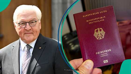 4 types of visas in Germany and minimum salary or bank balance applicants must meet to qualify