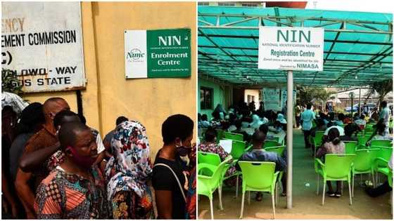New data shows Kano State and northern regions lead with highest NIN registrations in Nigeria