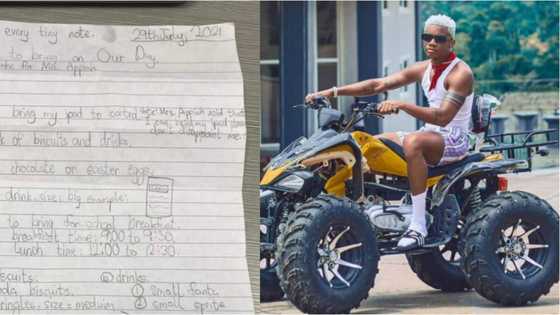 Little boy's list of items to mum to celebrate school vacation goes viral, popular artiste promises to perform