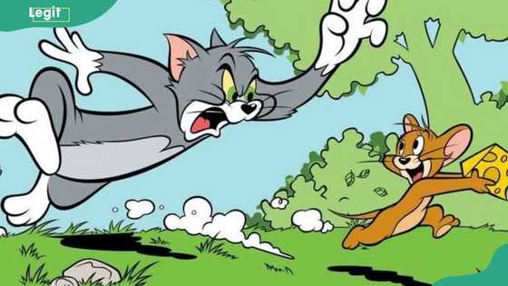 The 15 most iconic cartoon duos of all time who had no romantic relationship, ranked