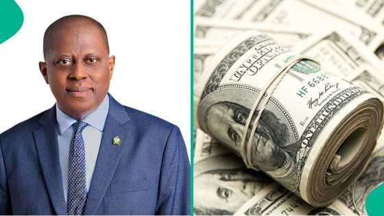 CBN data shows foreign exchange inflow in Nigeria in 2024, naira affected