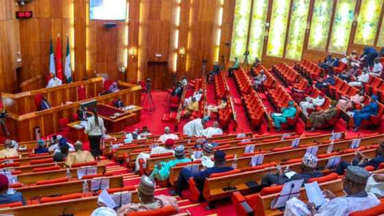 Illegal oil lifting discovered at Ugo Ocha terminal, lawyers write Senate