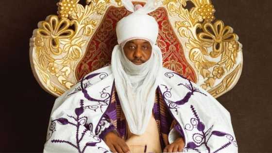 Fact-check: Did former Kano emir Sanusi endorse Peter Obi's presidential bid?
