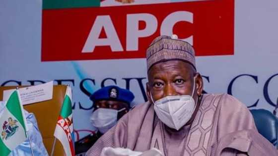 BREAKING: Anti-graft agency summons ex-APC governor Ganduje over dollar video