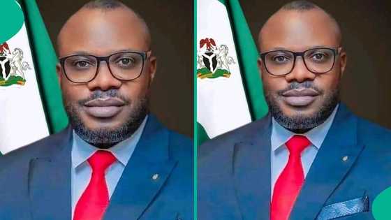 Allegations against Amnesty Coordinator false, says group
