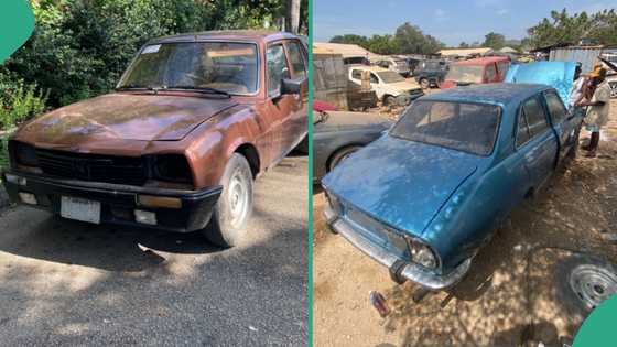 Man picks old-looking Peugeot 504 car, refurbishes it and turns it Into beautiful ride