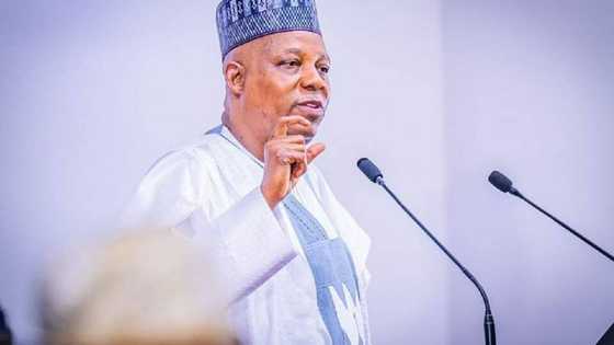 'Yan Arewa Sun Roki Musulmai Su Yafe wa Shettima Kan Kalamansa, Sun Yaba Nagartar da Dattakunsa