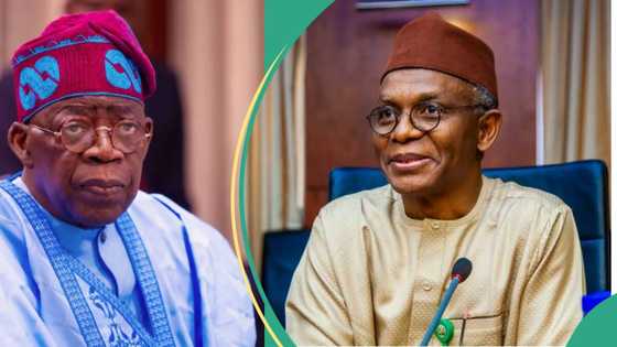 El-Rufai vs Tinubu: APC chief predicts how Nigerians will vote in 2027