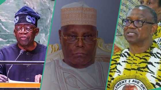 Obi/Atiku vs Tinubu: “Lots'll unfold”, Prophet Elijah predicts aftermath of Supreme Court’s verdict