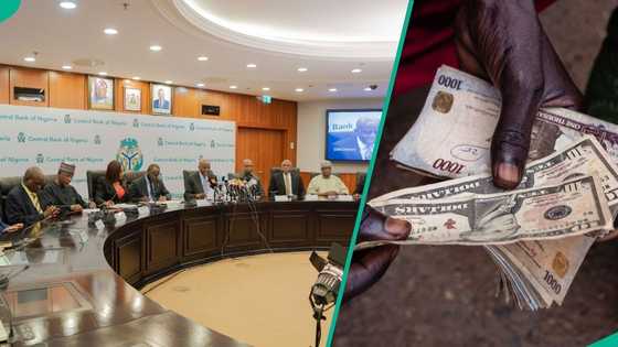 Year in review: Naira recovers over N100 against dollar in 2025 as CBN introduces 4 key FX policies